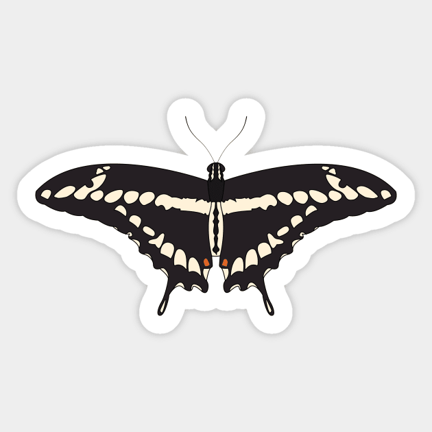 Papilio Sticker by ProcyonidaeCreative